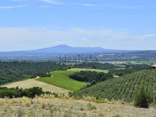 Rustici e casali in vendita di 380 m²