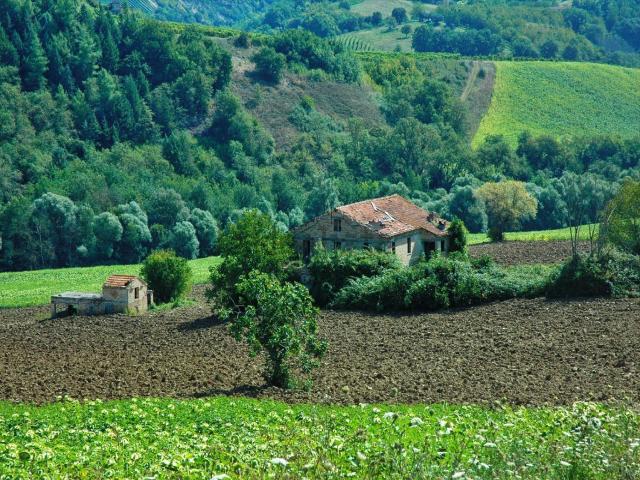 Rustici e casali in vendita di 405 m² in Contrada Ciafone, 61