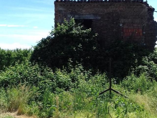 Rustici e casali in vendita di 400 m²