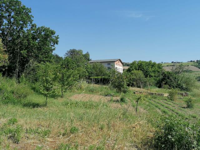 Rustici e casali in vendita di 400 m²