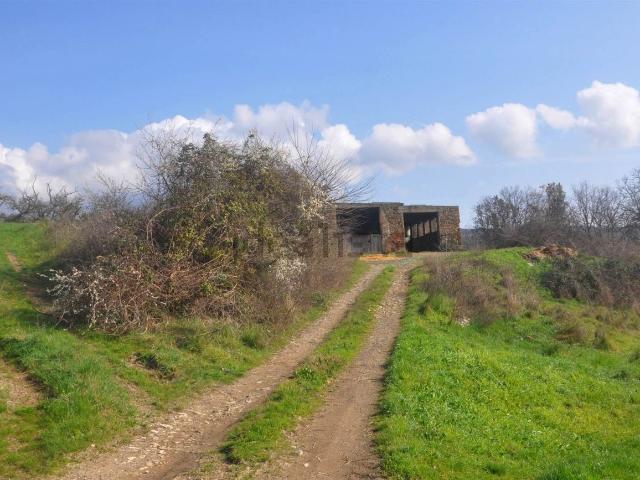 Rustici e casali in vendita di 400 m²