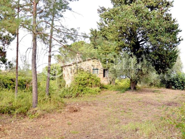 Rustici e casali in vendita di 400 m² in Strada Provinciale 41, 1