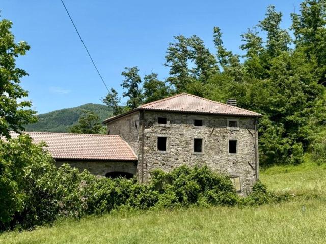 Rustici e casali in vendita di 400 m² in Via Bruscoli, 330
