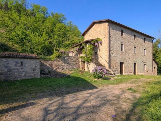 Rustici e casali in vendita di 300 m² in Via Pantano