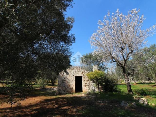 Rustici e casali in vendita di 40 m² in Contrada Votano Russo