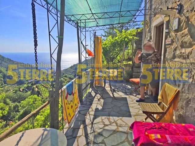 Rustici e casali in vendita di 40 m² in Strada Provinciale delle Cinque Terre, 65