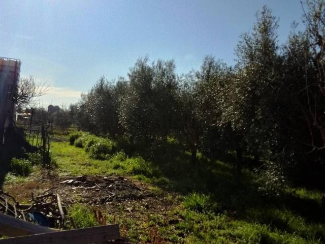 Rustici e casali in vendita di 410 m²