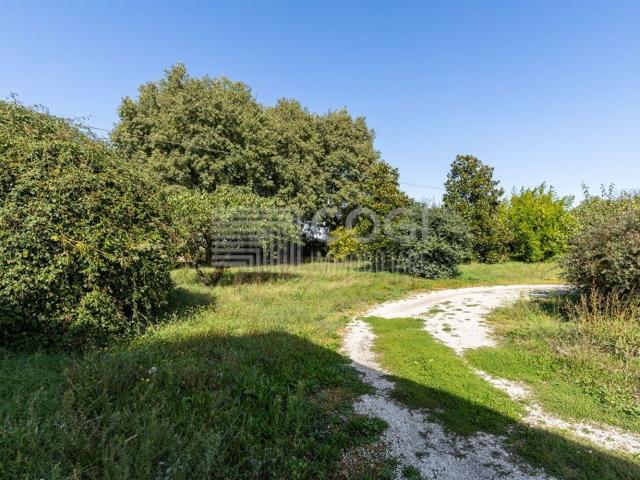 Rustici e casali in vendita di 420 m² in Via Provinciale Lugo Felisio, 5
