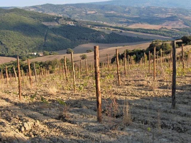 Rustici e casali in vendita di 430 m² in Via Bellaria