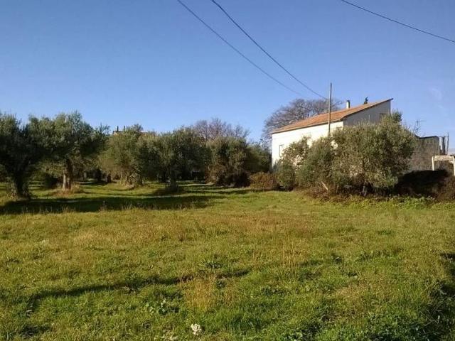 Rustici e casali in vendita di 445 m²