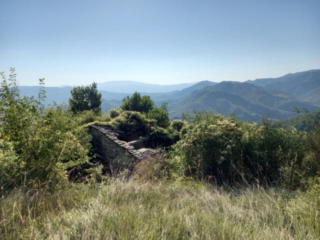 Rustici e casali in vendita di 445 m² in Località Località Monteriolo