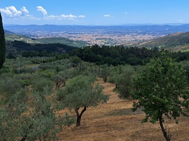 Rustici e casali in vendita di 4400 m² in Via di Cantagallo