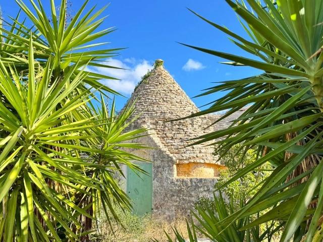 Rustici e casali in vendita di 44 m² in Strada Vicinale Montelavecchia