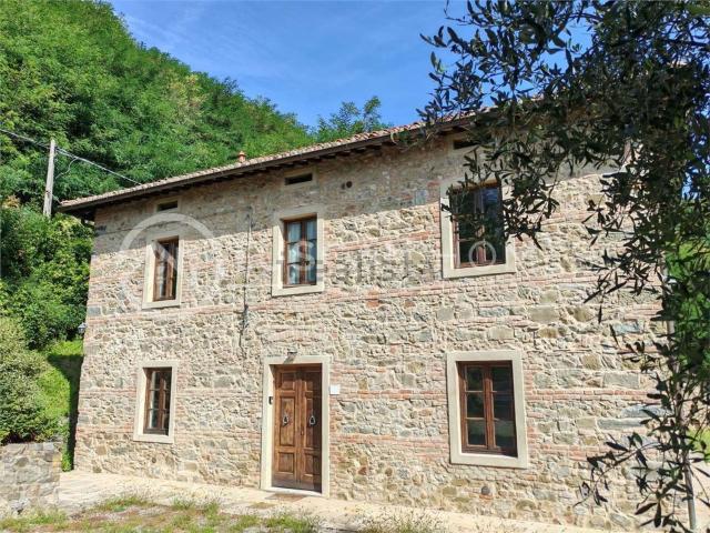 Rustici e casali in vendita di 450 m² in Località Pegnana Alta
