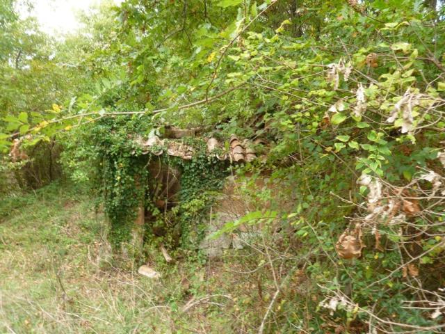 Rustici e casali in vendita di 450 m² in Strada Provinciale Pitigliano Santa Fiora