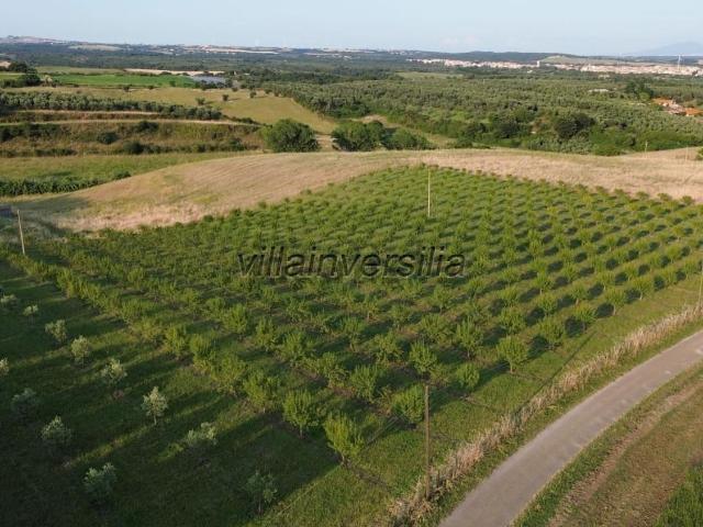 Rustici e casali in vendita di 450 m² in Via Boschetto