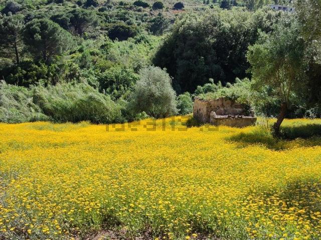 Rustici e casali in vendita di 45 m²