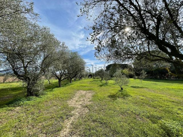 Rustici e casali in vendita di 45 m² in Strada Vicinale Su Mori De Su Sali
