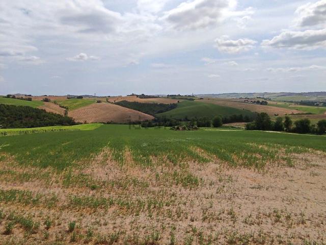 Rustici e casali in vendita di 460 m² in Località Lipparelli