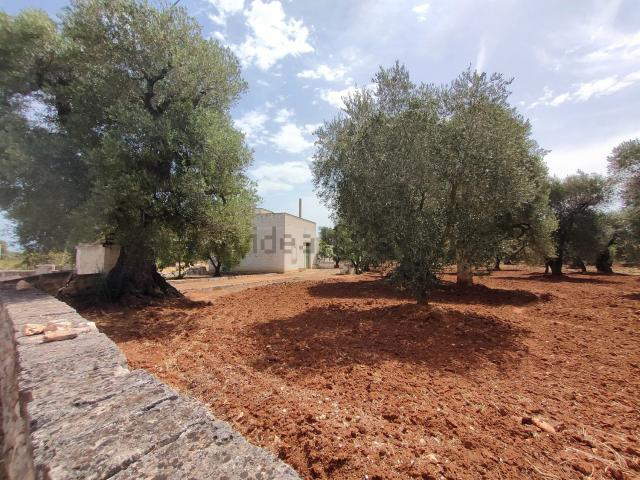 Rustici e casali in vendita di 47 m² in Contrada Le Case