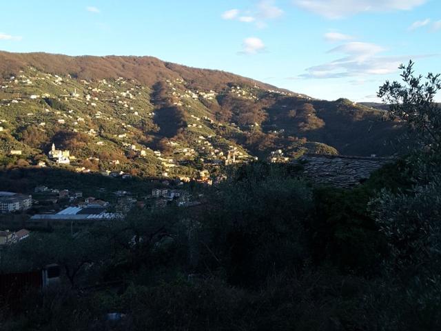 Rustici e casali in vendita di 480 m² in Località Caperana Case Sparse