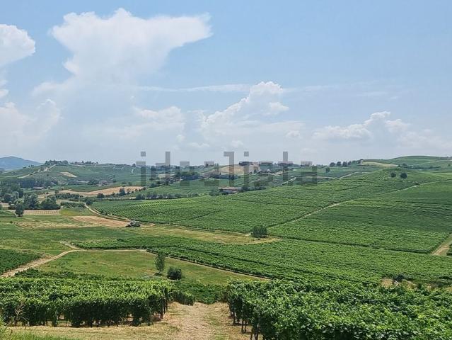 Rustici e casali in vendita di 5000 m²