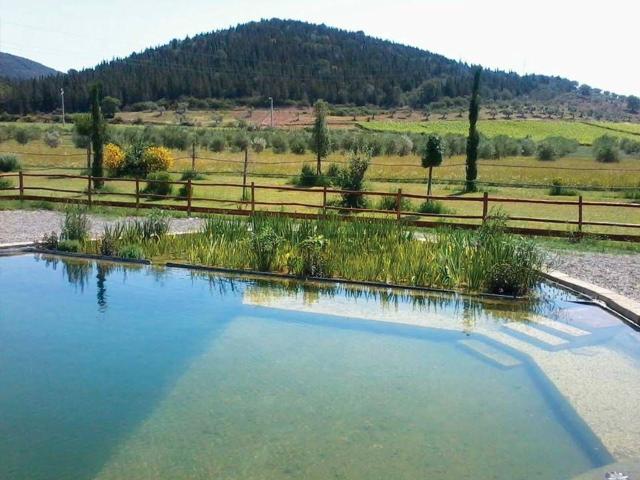 Rustici e casali in vendita di 500 m²