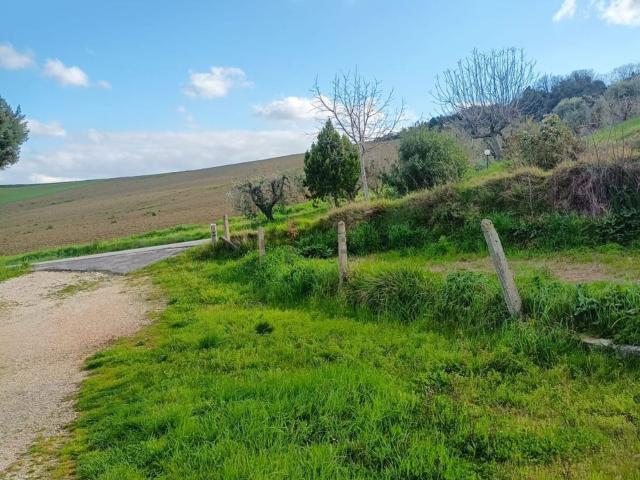 Rustici e casali in vendita di 500 m² in Contrada Santa Maria in Selva