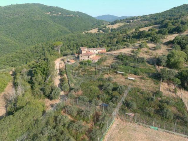 Rustici e casali in vendita di 500 m² in Frazione San Zeno a Poggio, 5