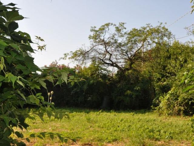 Rustici e casali in vendita di 500 m² in Via Prole