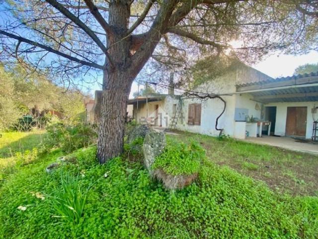 Rustici e casali in vendita di 50 m²