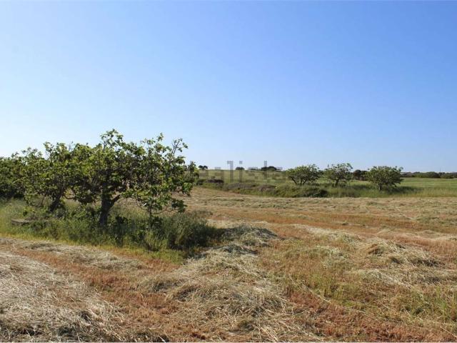 Rustici e casali in vendita di 50 m²