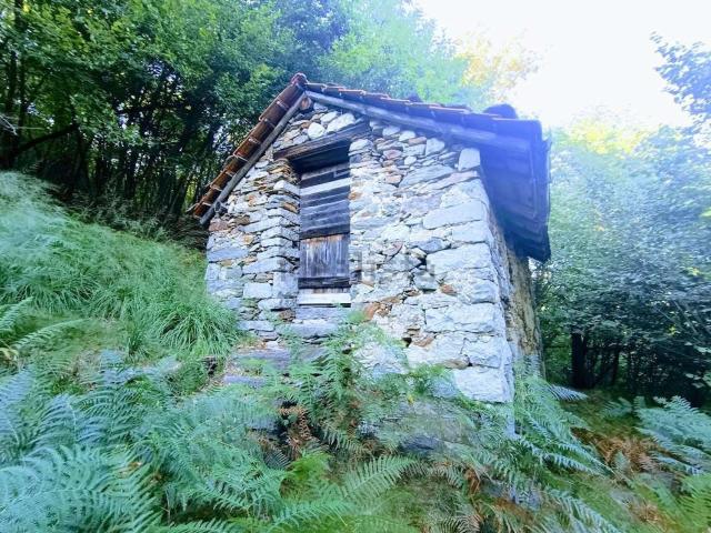Rustici e casali in vendita di 50 m² in Via Arzo