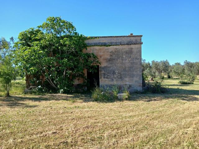 Rustici e casali in vendita di 50 m² in Contrada Grottole