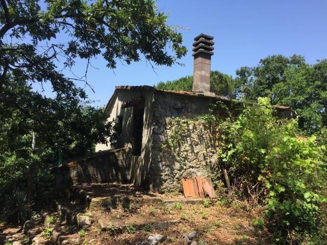 Rustici e casali in vendita di 50 m² in Località rocchetta