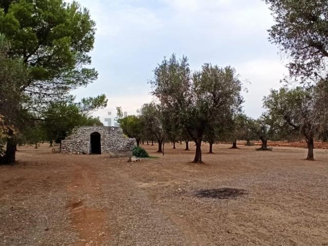 Rustici e casali in vendita di 50 m² in Strada Comunale San Marzano Oria