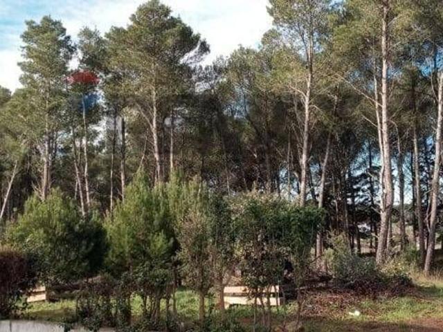 Rustici e casali in vendita di 50 m² in Strada Senza Nome
