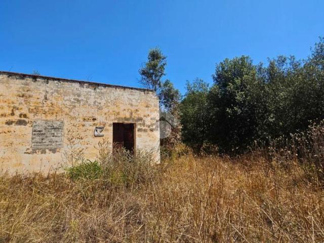 Rustici e casali in vendita di 50 m² in Strada Provinciale 218