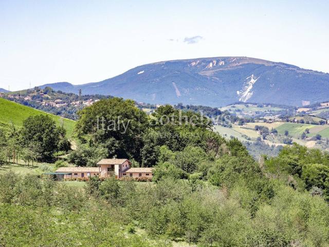 Rustici e casali in vendita di 510 m² in Contrada Bore