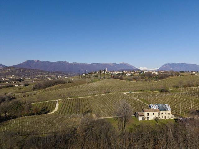 Rustici e casali in vendita di 530 m² in Via Colle
