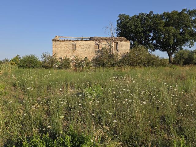 Rustici e casali in vendita di 530 m² in Via Santa Maria in Cerreto