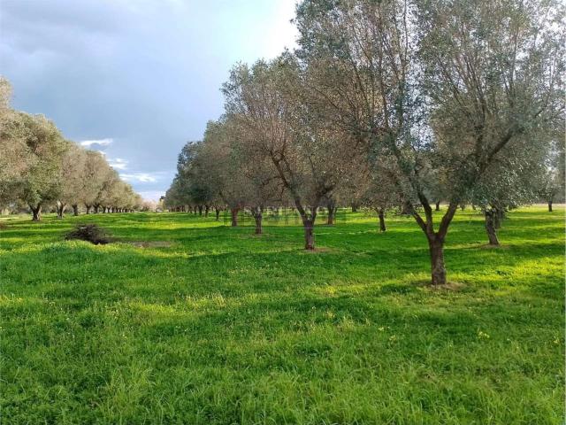 Rustici e casali in vendita di 53 m² in Via Apani