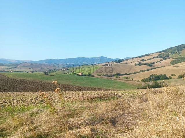 Rustici e casali in vendita di 540 m² in Contrada Vallonica