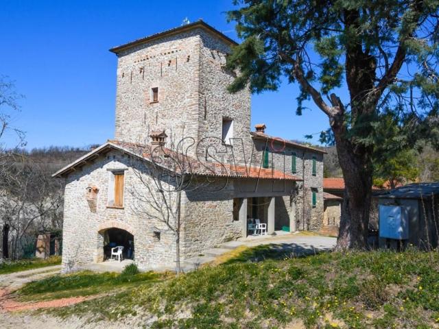 Rustici e casali in vendita di 558 m²
