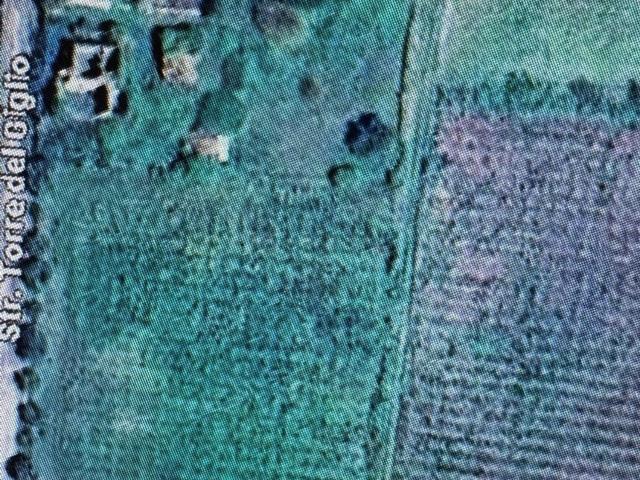Rustici e casali in vendita di 550 m² in Strada Torre del Giglio