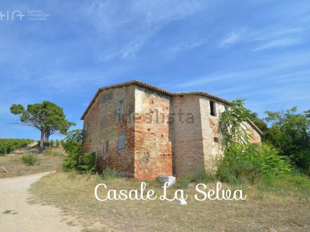 Rustici e casali in vendita di 553 m² in Via Vecchia Palazzi