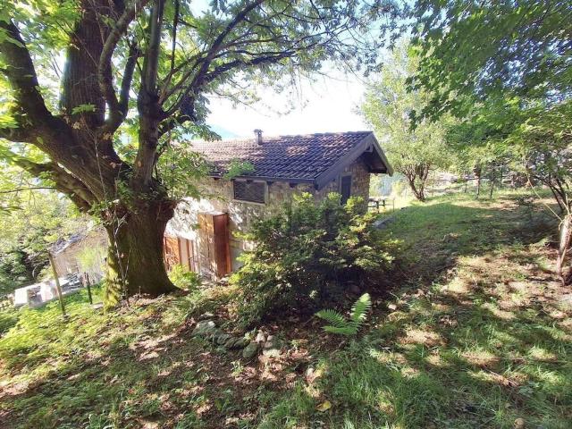 Rustici e casali in vendita di 55 m² in Via Montagnola