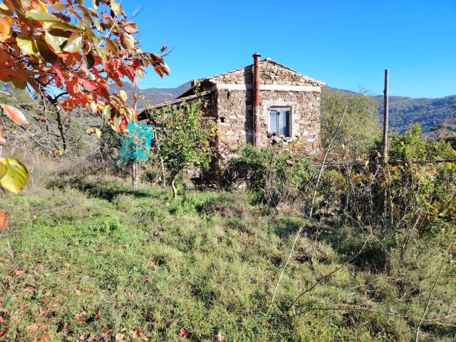 Rustici e casali in vendita di 55 m² in Località Lavaturo