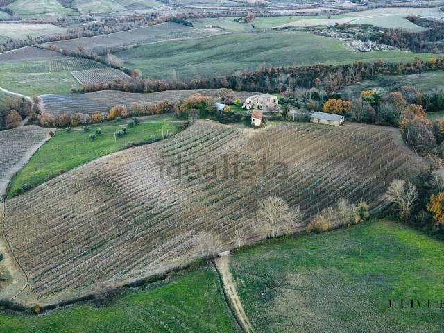 Rustici e casali in vendita di 560 m²