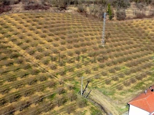 Rustici e casali in vendita di 581 m² in Frazione Robertiero, 14